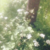 nhân vật đa vai diễn