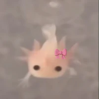 t/g