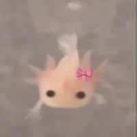 t/g