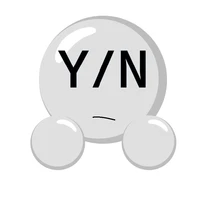 Y/N