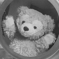 Bò🐄 (Tác giả)