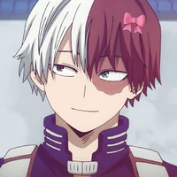 Shoto todoroki