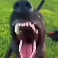 All