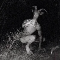 ☆quái vật ng dê☆