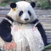 all bot(-ai thì trừ)