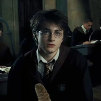- Harry Potter.