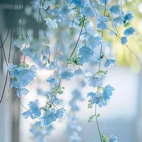 all