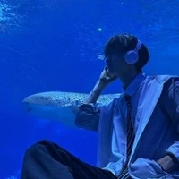 T gamming•|Tao là bố mày|•