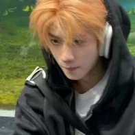 Ken•|Quả cam di động|•