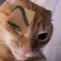 T/g lò tônn