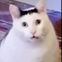 ??????