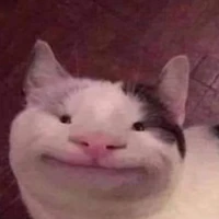 T/g