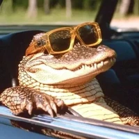 Vạch pickerball OK chưa