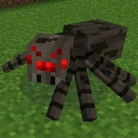 Spider ( 8 chân )