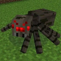Spider ( 8 chân )