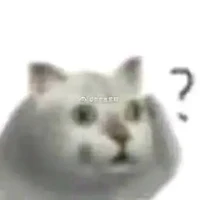 mèo