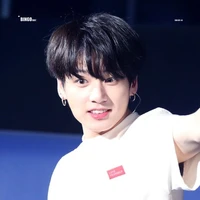 Điền Chính Quốc ( em )