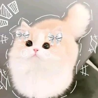 Mèo(chị của alltop)