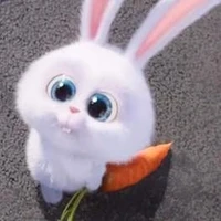 Harry(lớp trưởng)