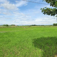 everyone trừ một số người 