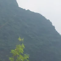 Tác giả