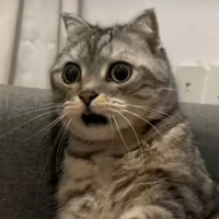 Nee