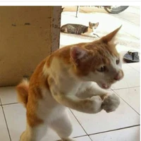 mimi