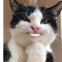 cô giáo