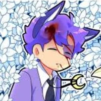 hiha catnap