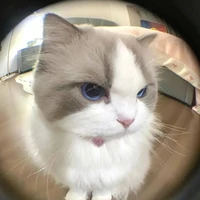 Hệ thống Zun_...