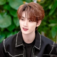 Đinh trình hâm
