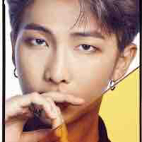 Kim namjoon