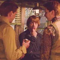 3 anh em nhà Weasley