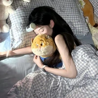 Zam~ tác giả