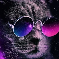 all mọi người (- những ai cần trừ )