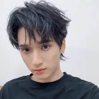 Nghiêm Hạo Tường_T