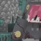 teddy