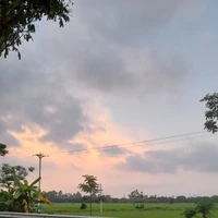 nvp