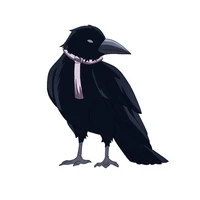 Kyorisa (quạ của cô)