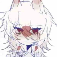 Nekomi