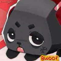 Coal