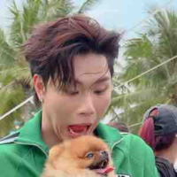 Dương Domic