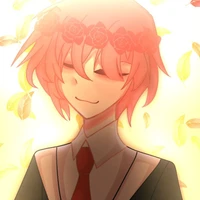TT hiha