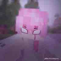 Hiha alpha ( ck iu t/g :) )
