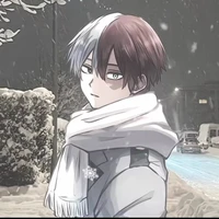 Todoroki Shoto