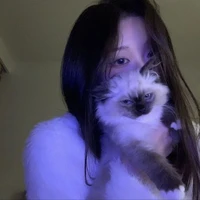 Y/n