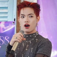 Nguyễn Thanh pháp 