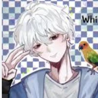 White/@White•tồi