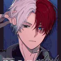 Shoto todoroki 