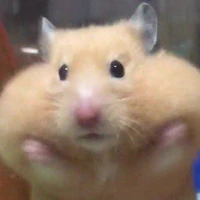 tác giả cuteee